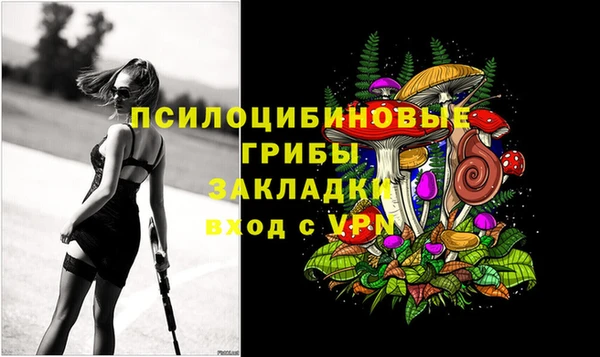 соль ск Арсеньев